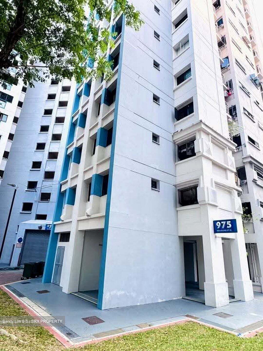 Blk 975 Hougang Street 91 (Hougang), HDB Executive #612332411